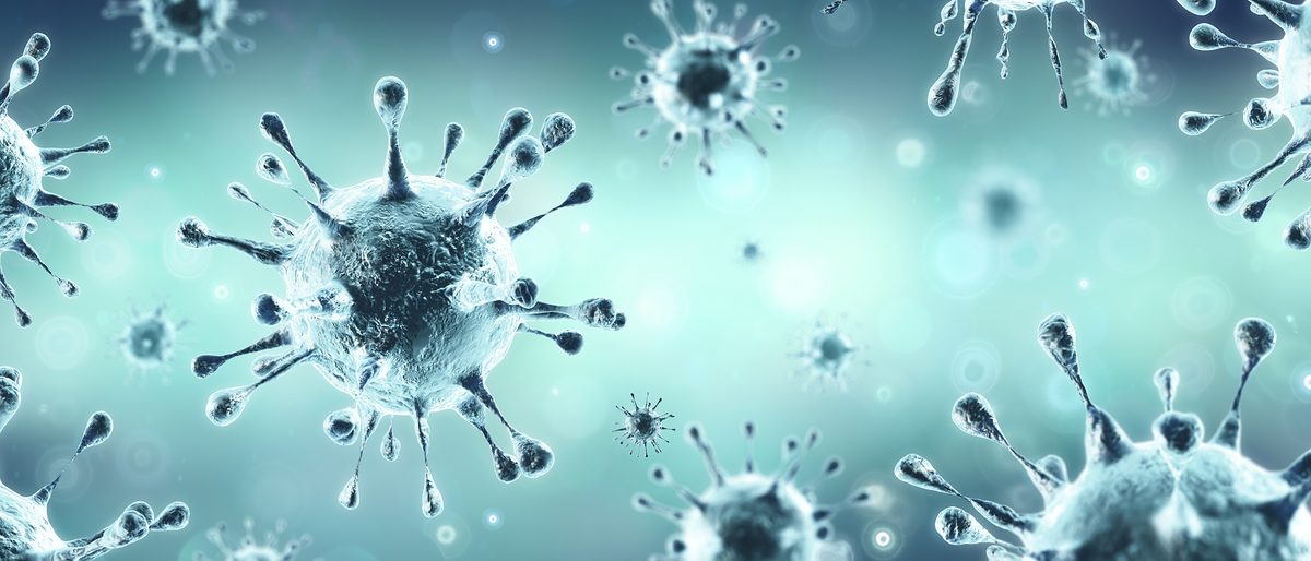 Bild Virus
