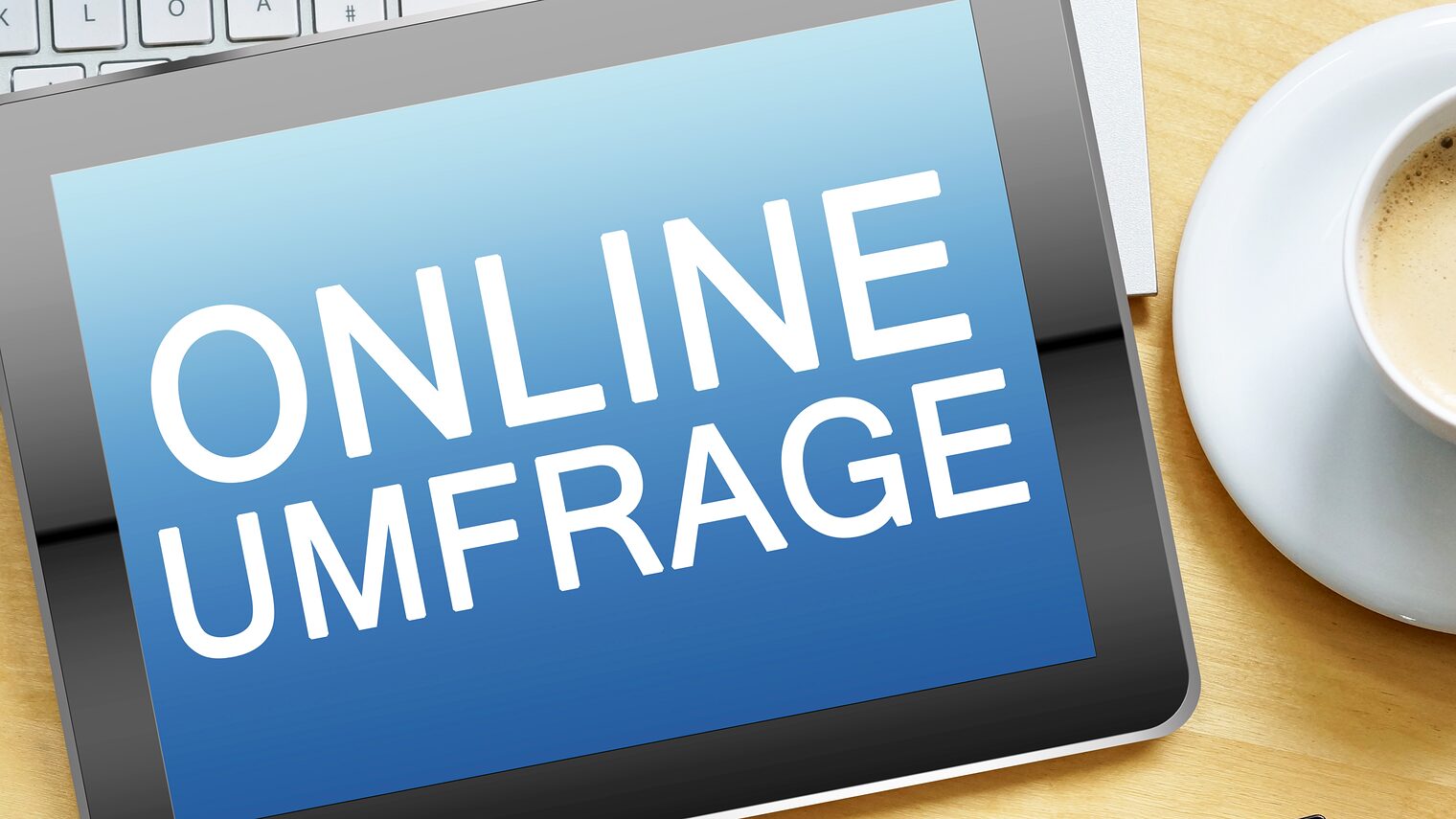 Online-Umfrage