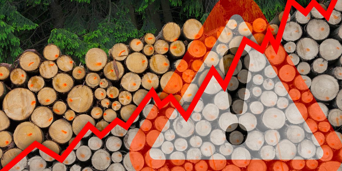 Holz Preisanstieg