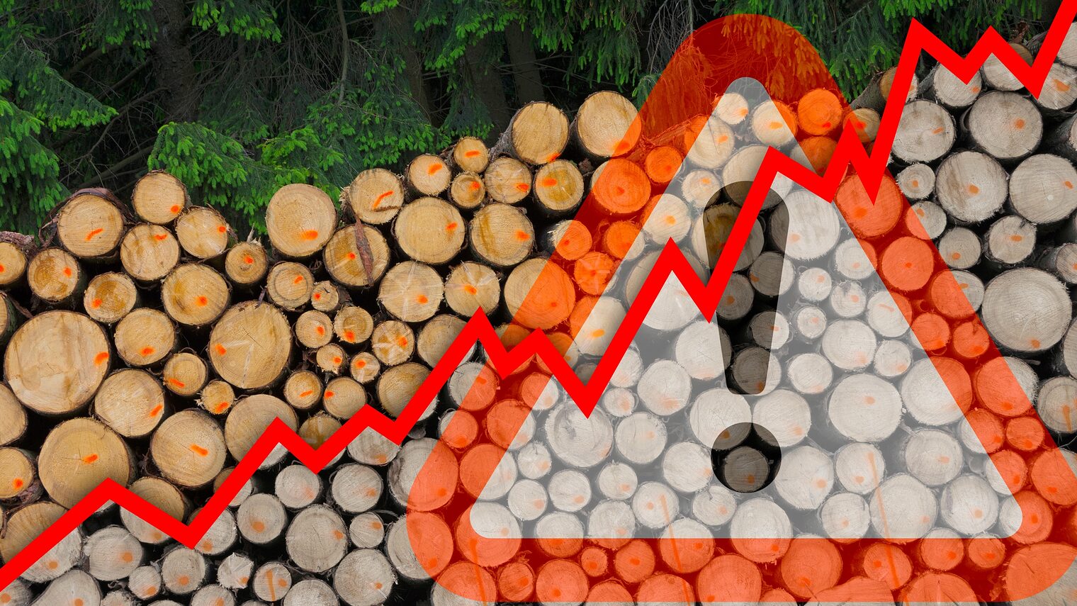 Holz Preisanstieg