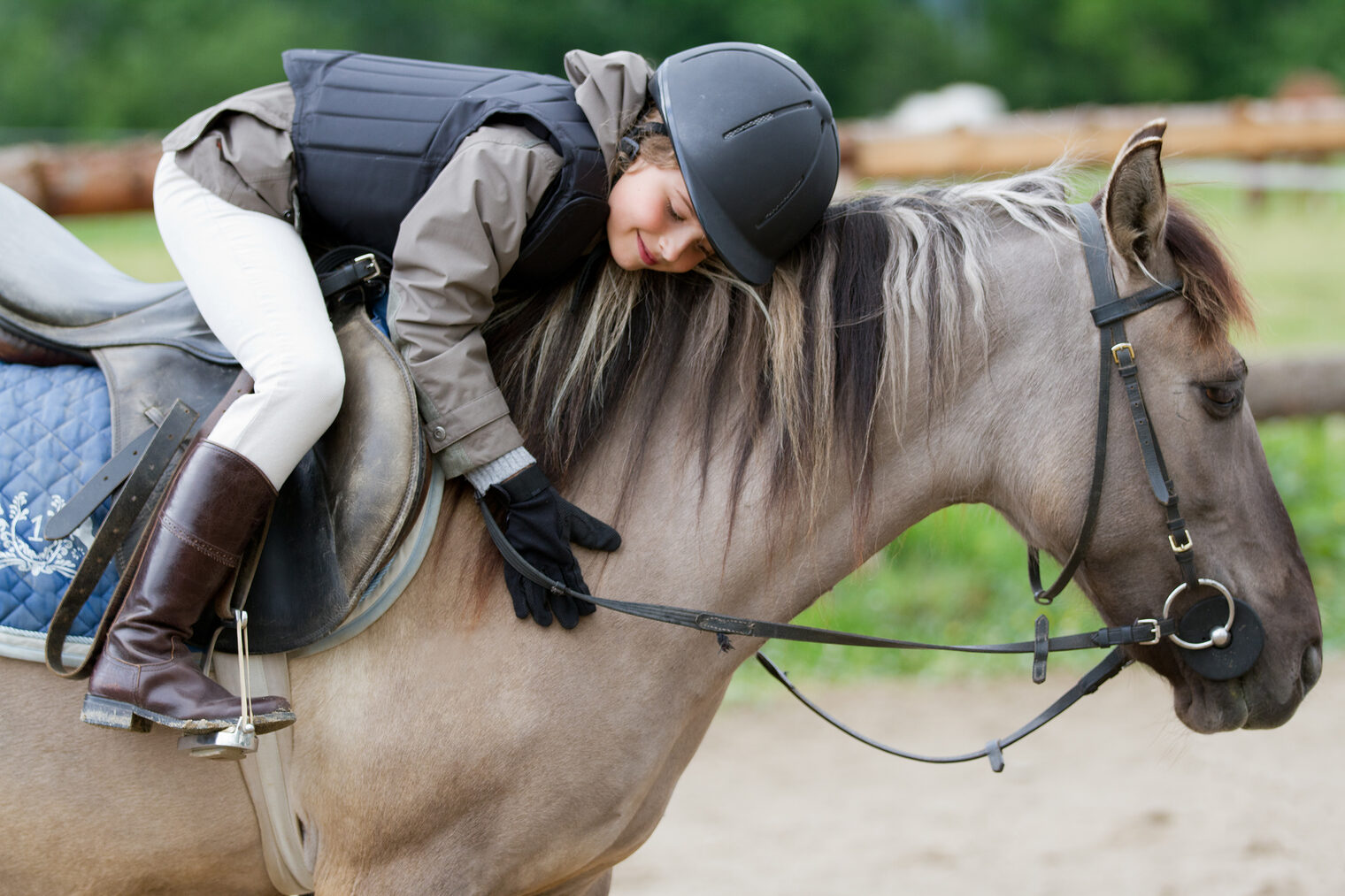 equestrian, jockey, horse, horseback, child, animal, girl, ranch, recreation, sport, ride, riding, gallop, female, friend, happy, kid, lifestyle, nature, outdoor, pasture, amazon, breed, bridle, active, country, countryside, course, activity, competition, champion, pony, farm, beautiful, childhood, little, people, portrait, pretty, race, rural, spring, stallion, trot, strong, hobby, lovely