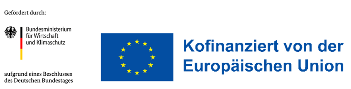 Logo BMWK und Kofinanziert EU_klein